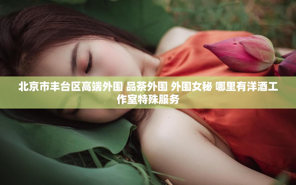 北京市丰台区高端外围 品茶外围 外围女秘 哪里有洋酒工作室特殊服务